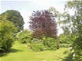 High Farm, bed and breakfast, pickering - view of gardens