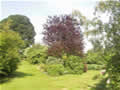 High Farm, holiday cottage accommodation, Pickering; view of gardens