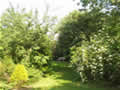 High Farm, holiday cottage accommodation, Pickering; view of gardens