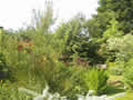 High Farm, holiday cottage accommodation, Pickering; view of gardens