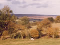 High Farm, Cropton, Bullings - SSSI area